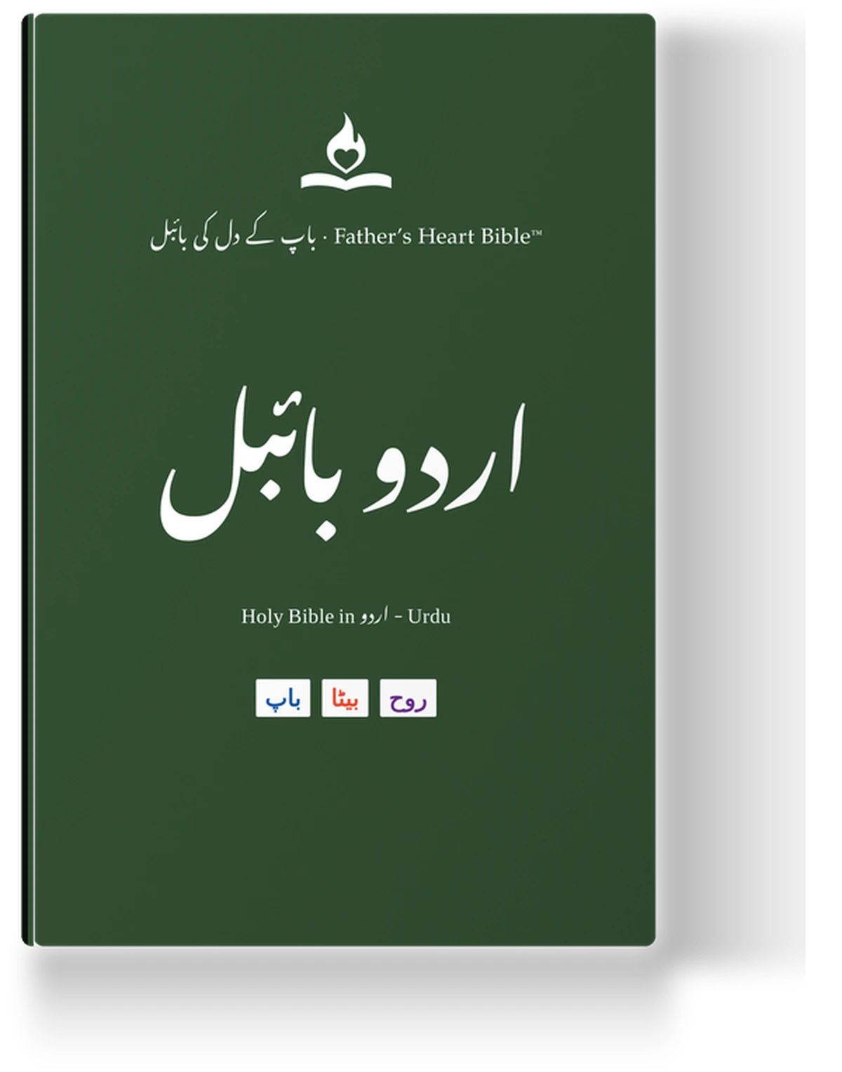 اردو بائبل — Father's Heart Bible (FHB) in Divine Voice Color