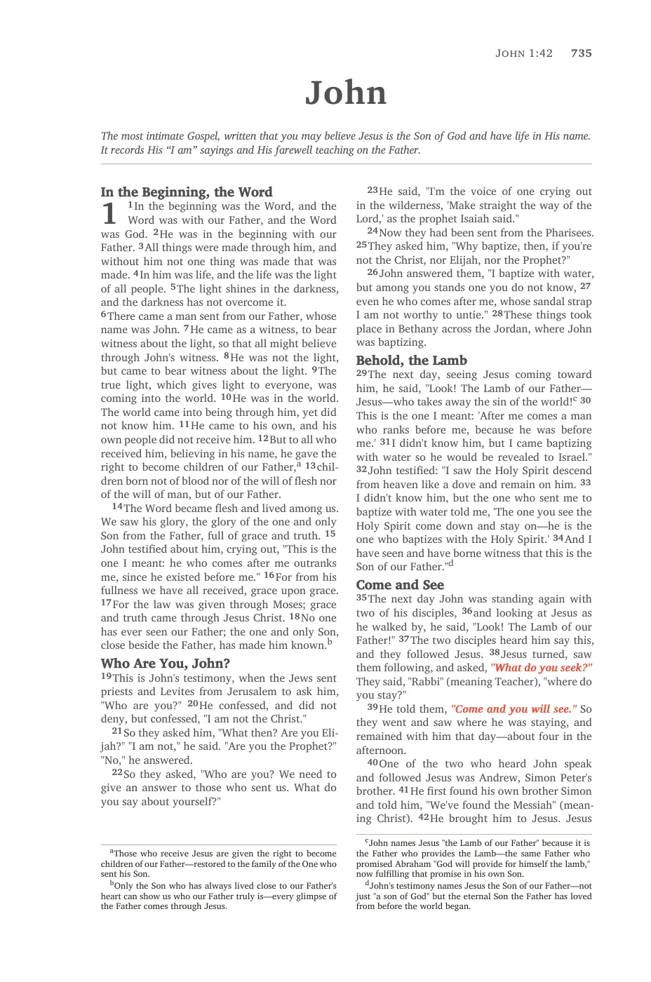 John 1 — sample page 43 of 56