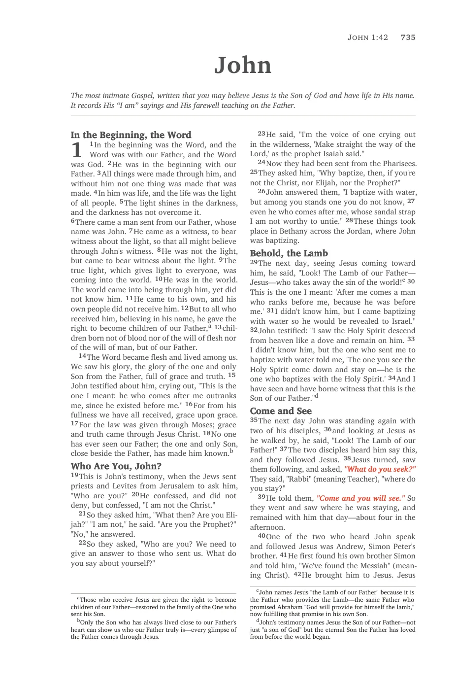 John 1 — sample page 43 of 56
