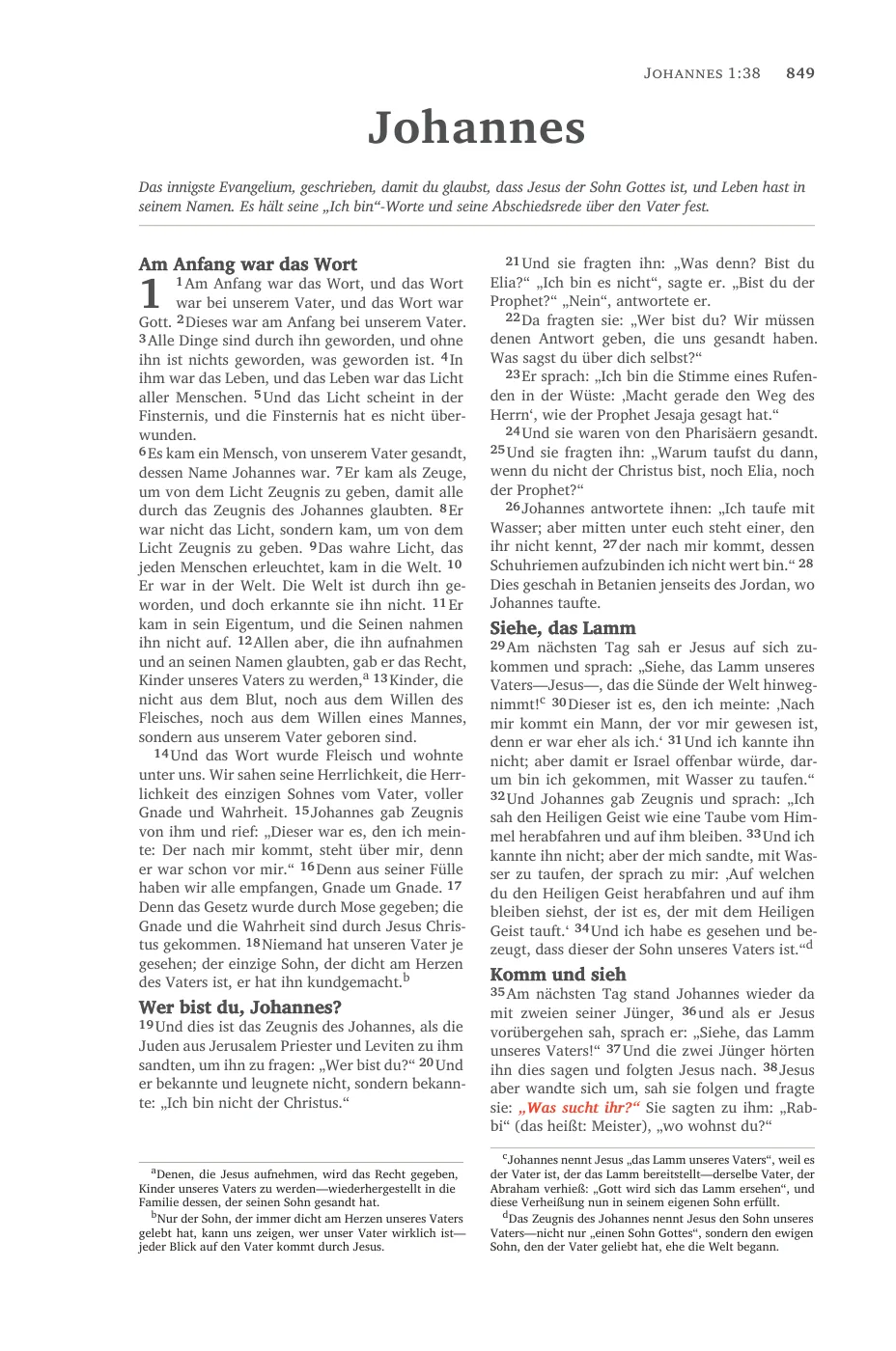 John 1 — sample page 45 of 58