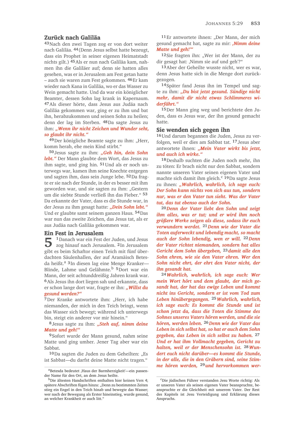 John 1 (cont.) — sample page 49 of 58