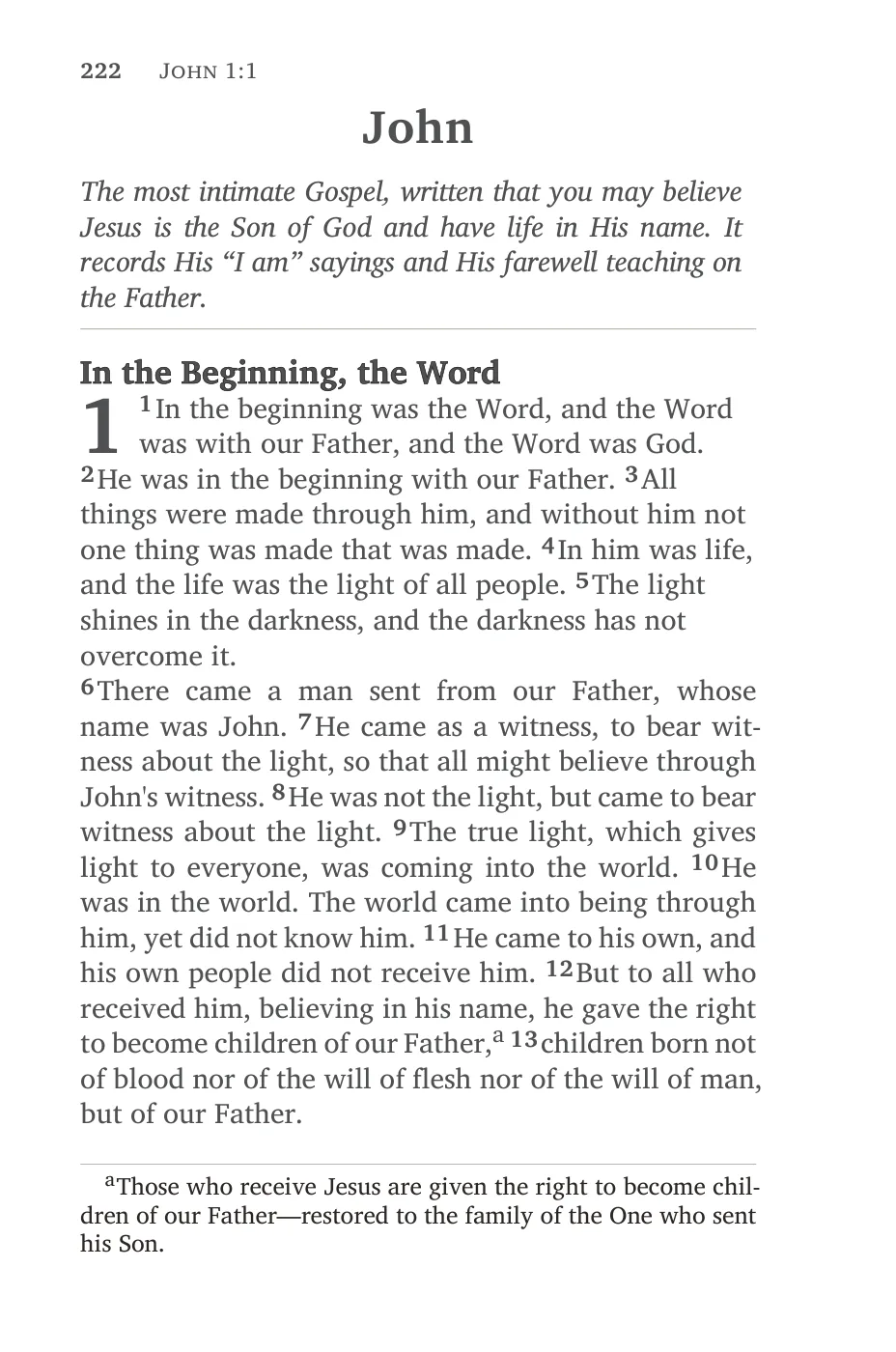 John 1 — sample page 18 of 46