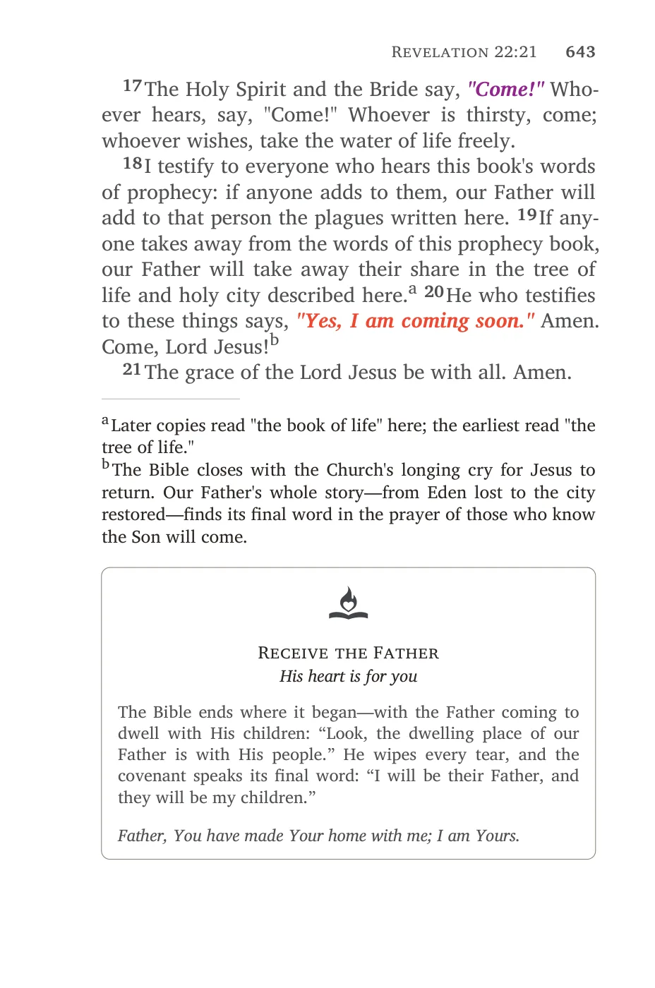 Revelation 21 (cont.) — sample page 45 of 46