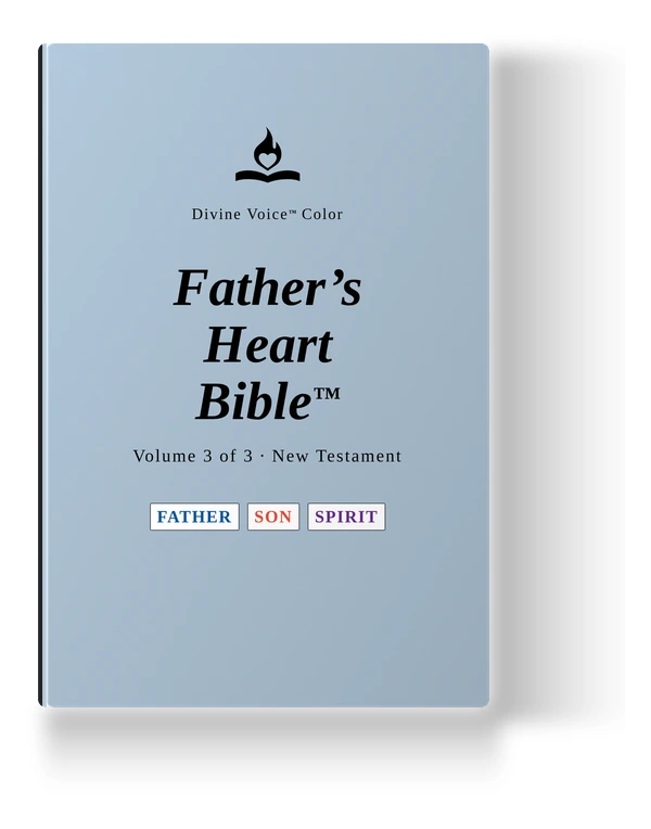 Large Print Vol. 3 - New Testament